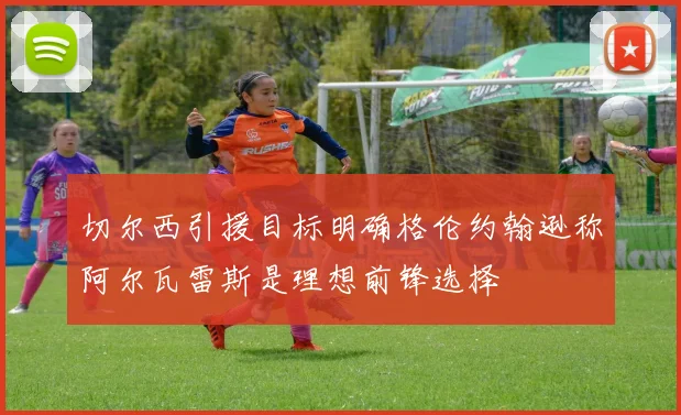 切尔西引援目标明确格伦约翰逊称阿尔瓦雷斯是理想前锋选择