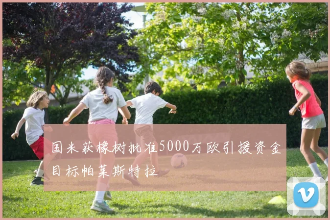 国米获橡树批准5000万欧引援资金目标帕莱斯特拉
