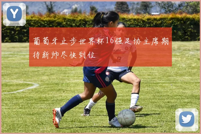 葡萄牙止步世界杯16强足协主席期待新帅尽快到位