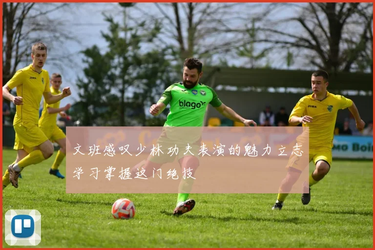 文班感叹少林功夫表演的魅力立志学习掌握这门绝技